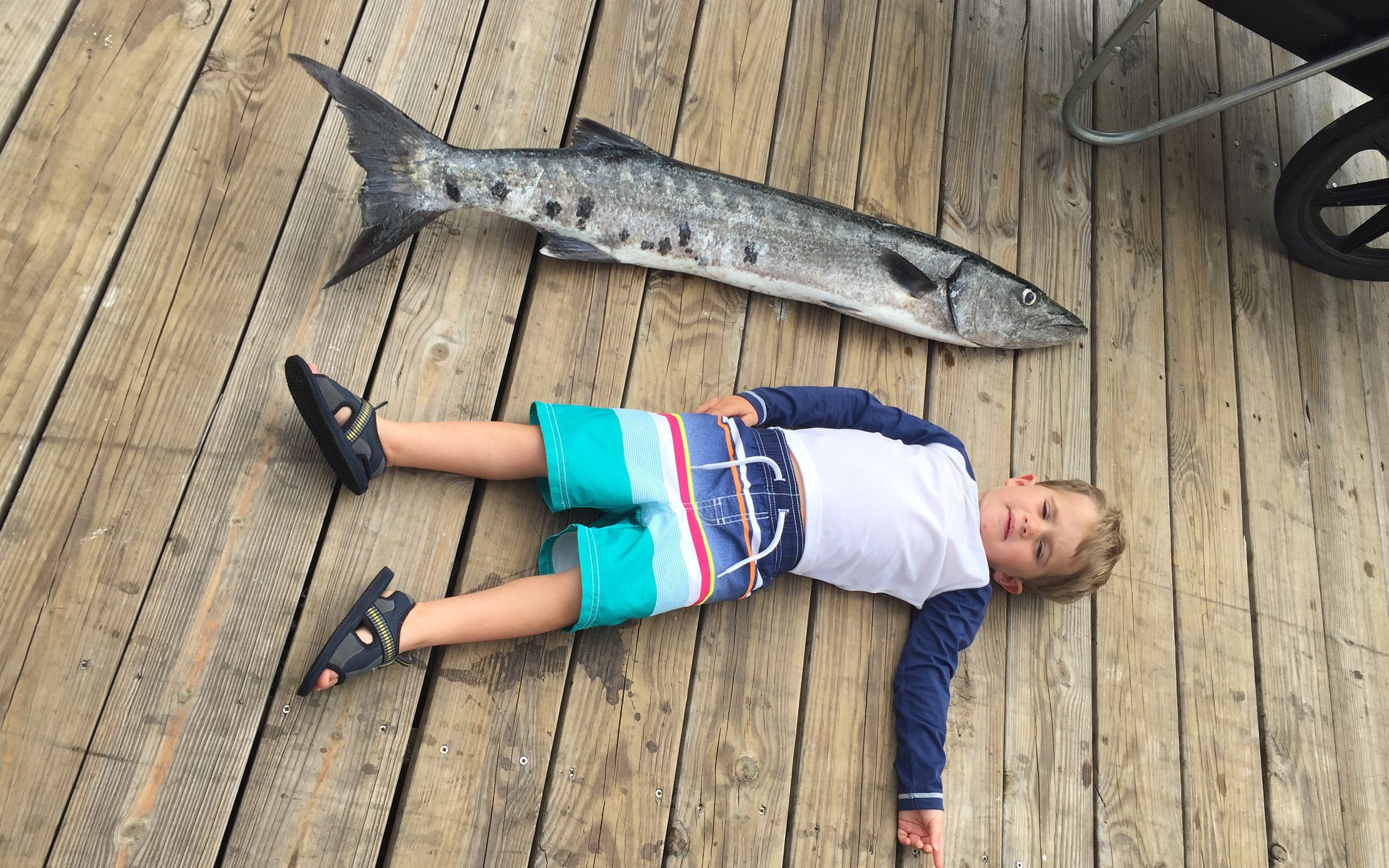 alabama fishing charter